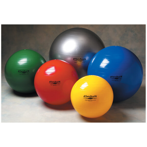 PERFORMANCE HEALTH EXERCISE BALLS