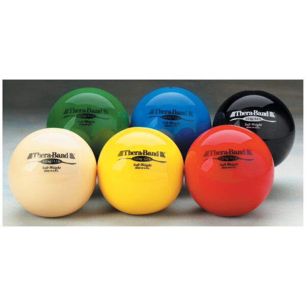 PERFORMANCE HEALTH SOFT WEIGHTS