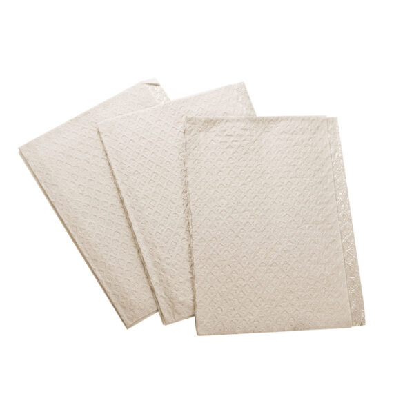 TIDI 3-PLY TISSUE/POLY TOWEL & BIB